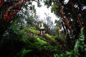 BIB: 
                            <button type="button" onclick="openModal(26205535)" class="btn btn-primary btn-sm float-right btn-popup" data-toggle="modal" data-target=".modal-high-quality">
                        <i class="fas fa-shopping-cart"></i> Add to Cart
                    </button>
                                            <button type="button" onclick="isThisMe(26205535, true)" class="btn btn-success btn-sm float-right btn-popup btn-isme hidden" data-toggle="tooltip" data-placement="bottom" title="นี่คือรูปของคุณใช่ไหม คลิกที่นี่เพื่อเอาเข้าอัลบั้ม">
                        <i class="fas fa-plus"></i> Add to album
                    </button>
                    <button type="button" onclick="isThisMe(26205535, false)" class="btn btn-warning btn-sm float-right btn-popup btn-isnotme hidden">
                        <i class="fas fa-ban"></i> Remove from album
                    </button>